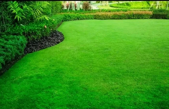 landscapingservices nairobi kenya